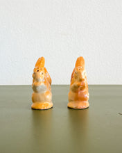 Load image into Gallery viewer, Hungry Rabbits Salt and Pepper Shakers
