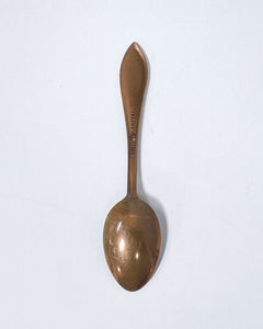 Arizona Souvenir Spoon