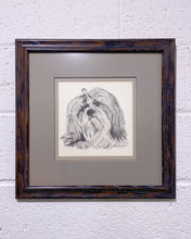 Load image into Gallery viewer, Vintage Framed Sketch of a Shih Tzu by M. Tinoro
