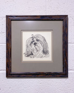 Vintage Framed Sketch of a Shih Tzu by M. Tinoro