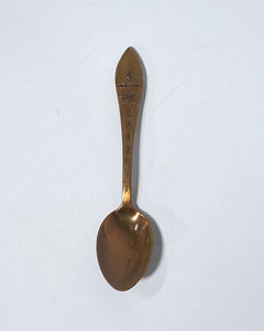 Arizona Souvenir Spoon