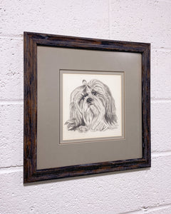 Vintage Framed Sketch of a Shih Tzu by M. Tinoro