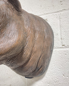 Large Rhino Head Wall Hanging