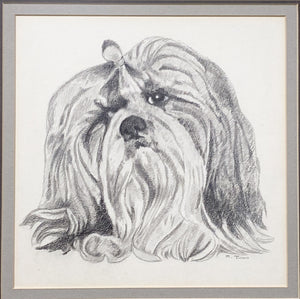 Vintage Framed Sketch of a Shih Tzu by M. Tinoro