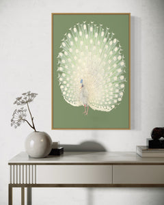 Peacock Art