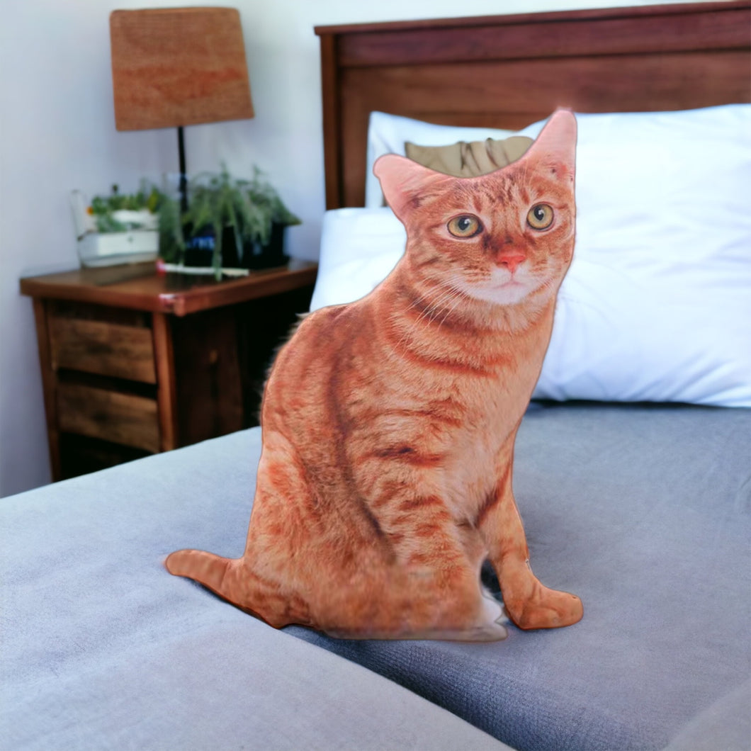 Orange Cat Pillow