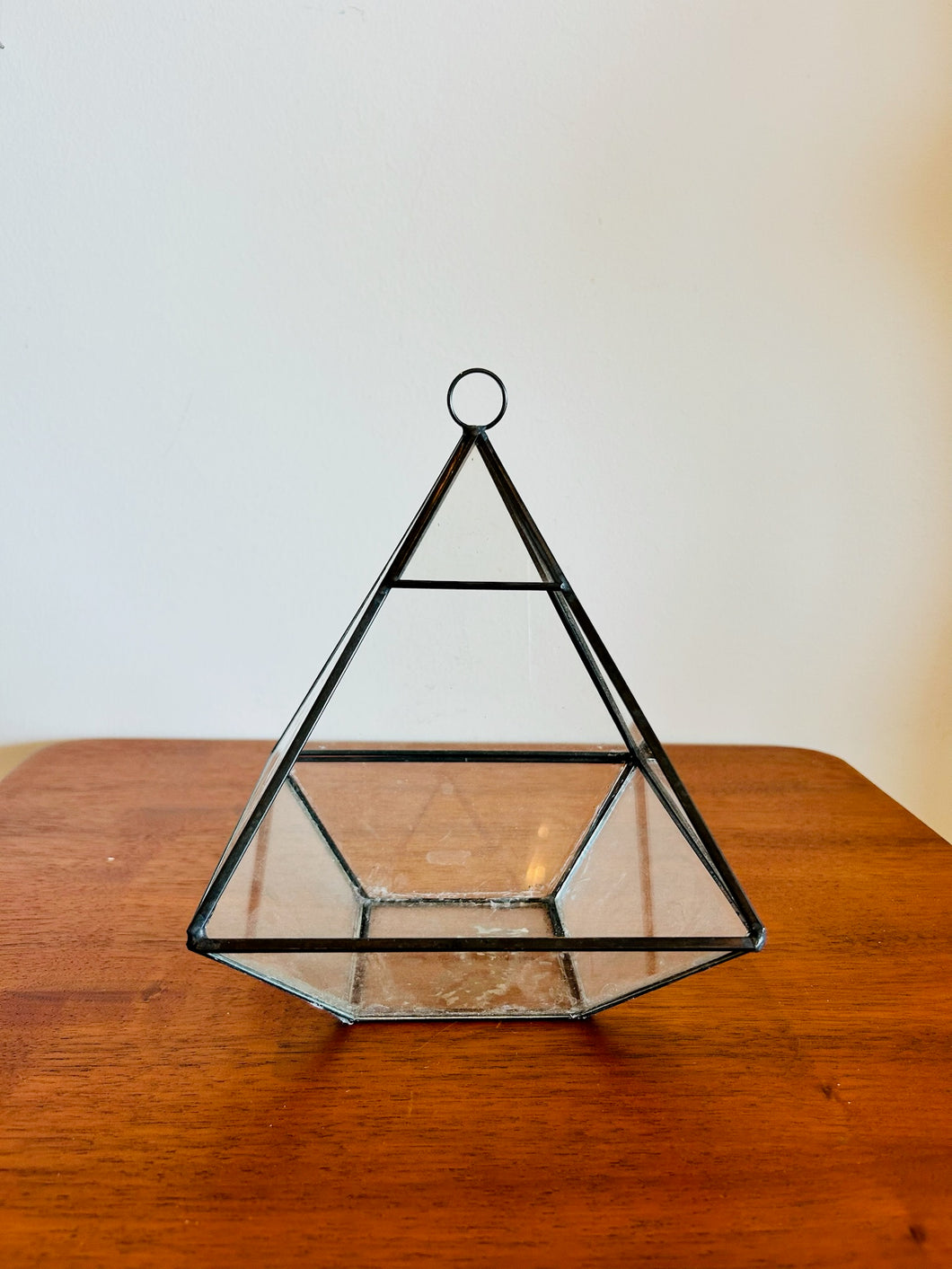 Geometric Terrarium