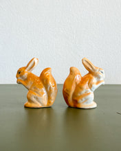 Load image into Gallery viewer, Hungry Rabbits Salt and Pepper Shakers
