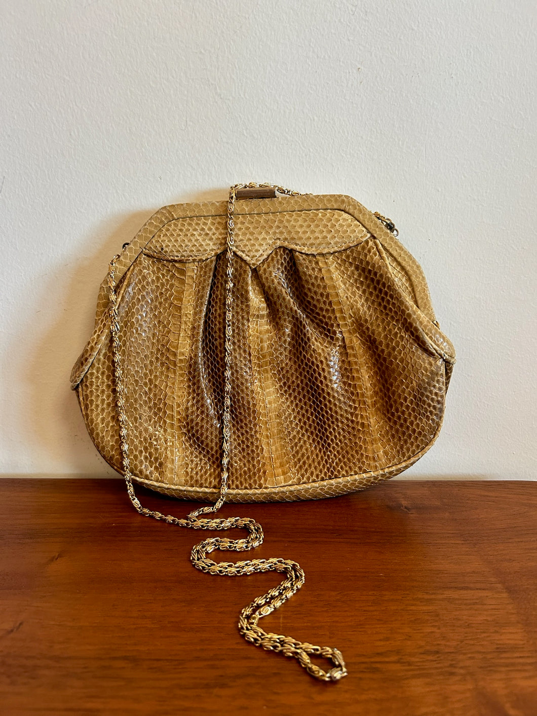 Snake Skin Purse