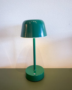 Mini Green Mushroom LED Lamp