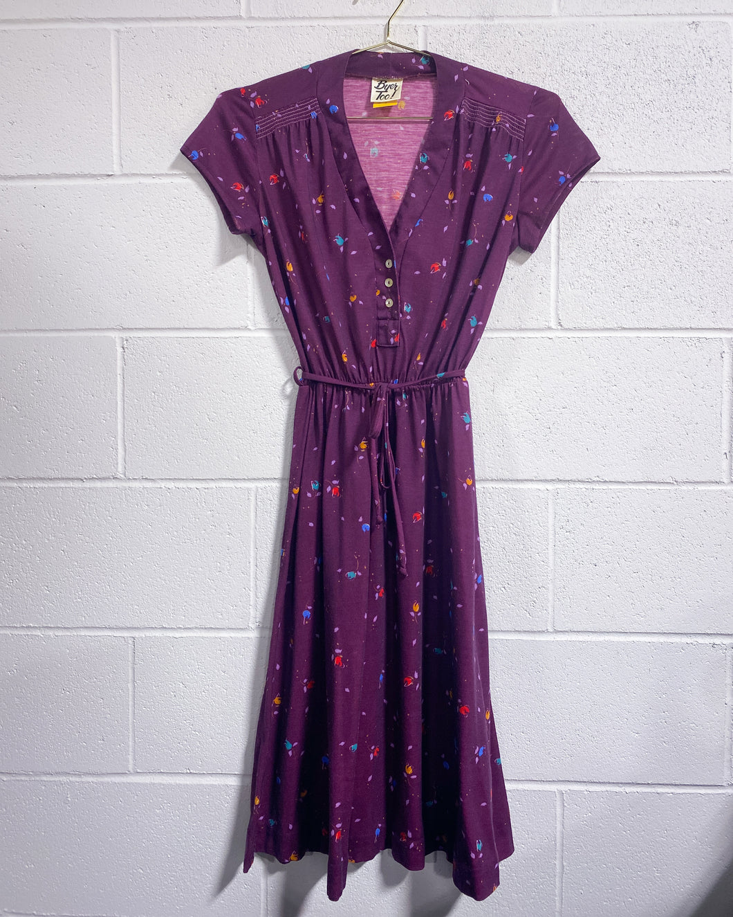 Vintage Colorful Grape Dress (7)