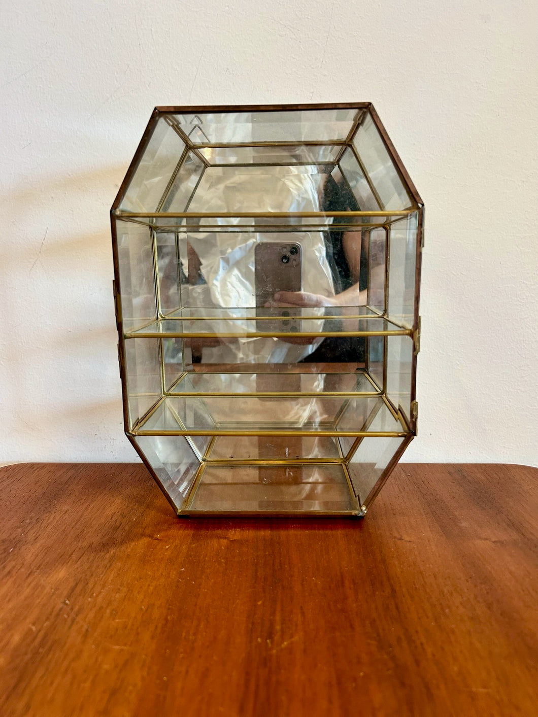 Brass and Glass Curio Wall Hung Display Case