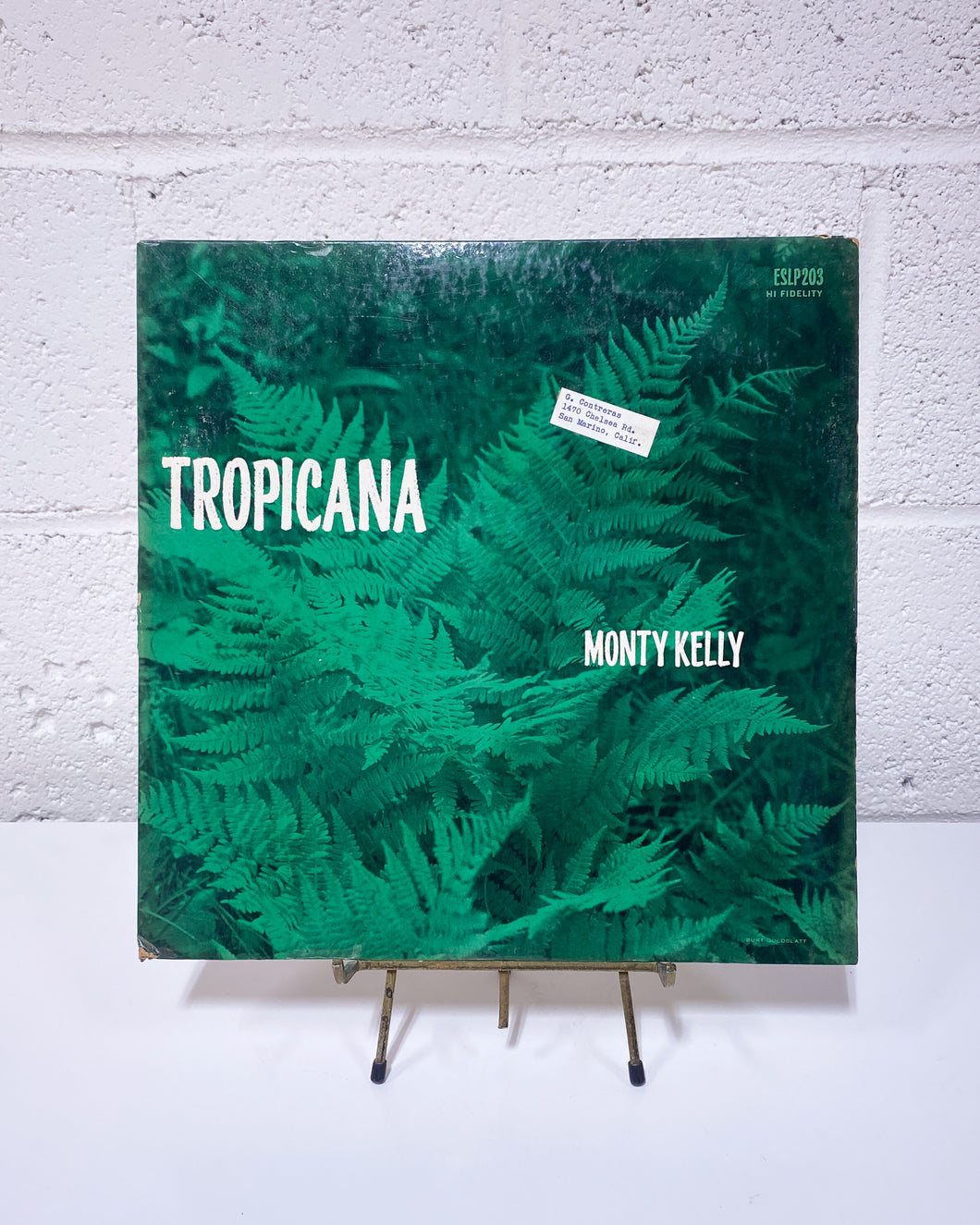 Monty Kelly Tropicana