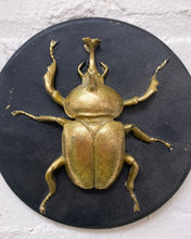 Load image into Gallery viewer, Gold Beetle Wall Hanging
