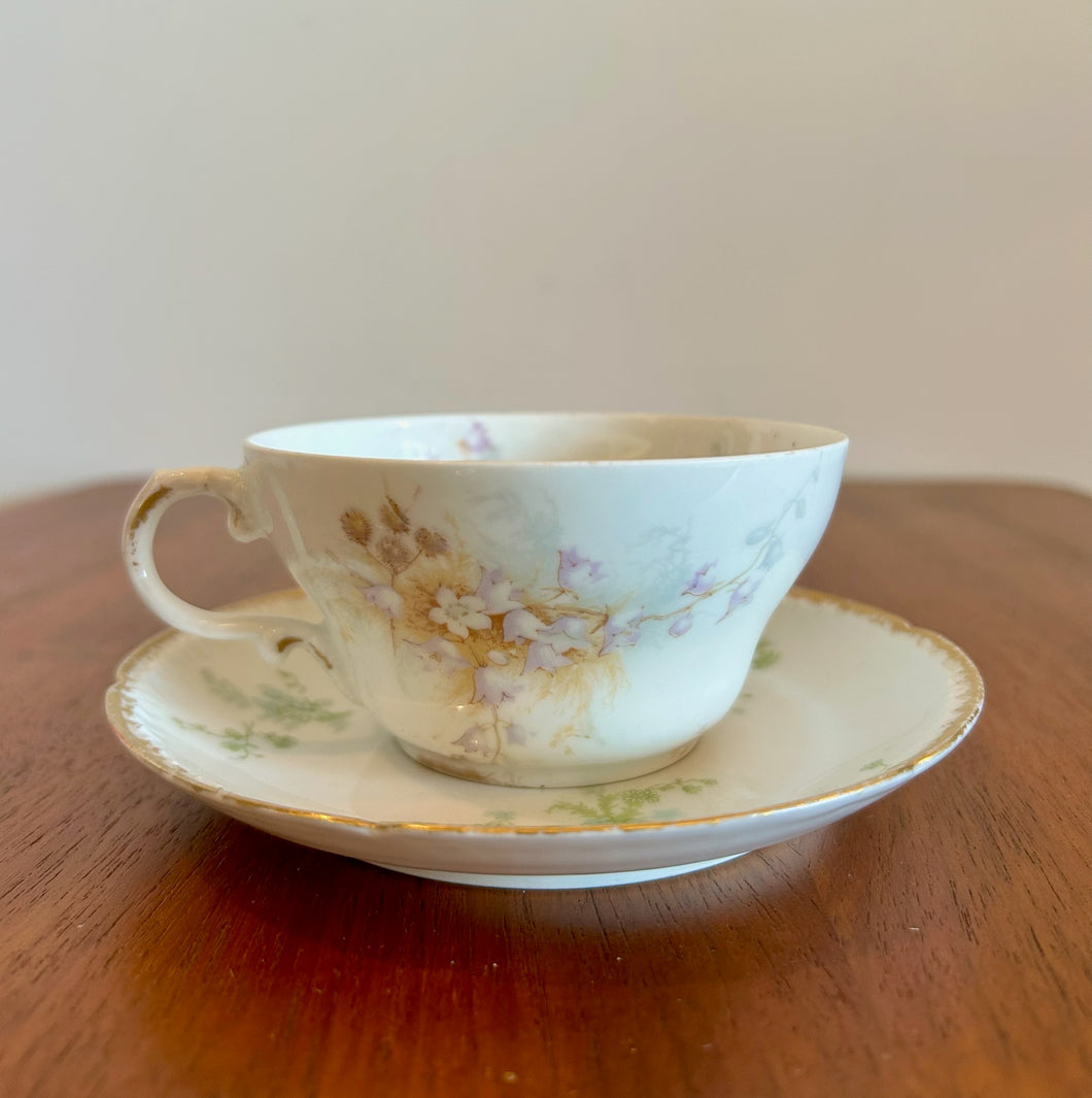 Porcelaine Theodore Haviland Tea Set 1 Cup