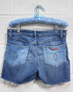 Cut off Denim Hudson Shorts