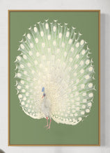 Load image into Gallery viewer, Peacock Art
