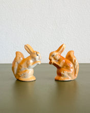 Load image into Gallery viewer, Hungry Rabbits Salt and Pepper Shakers
