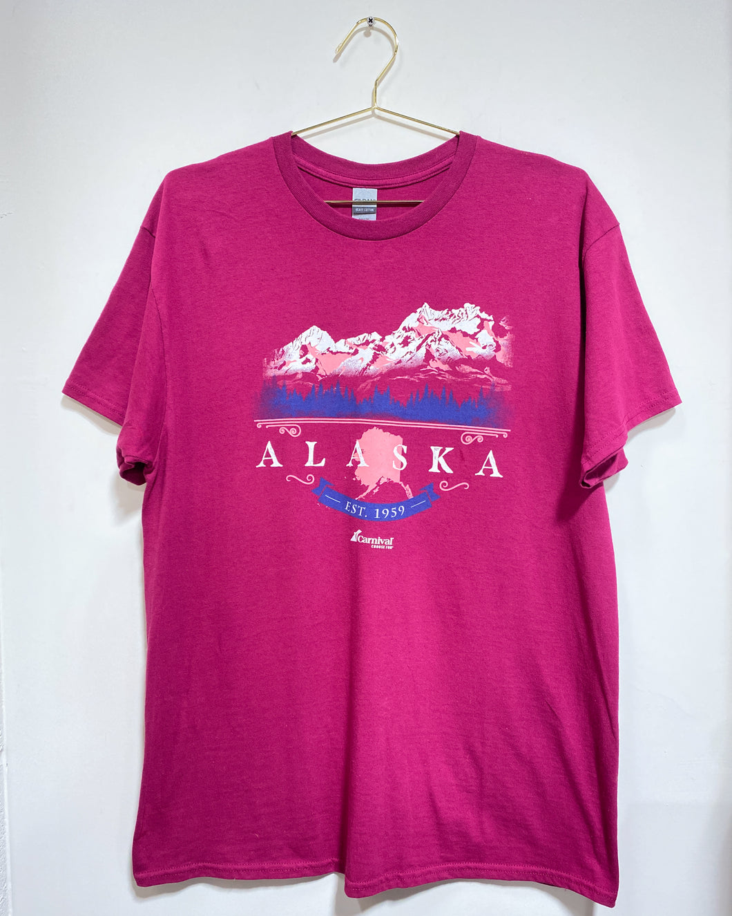 Alaska T-Shirt (L)