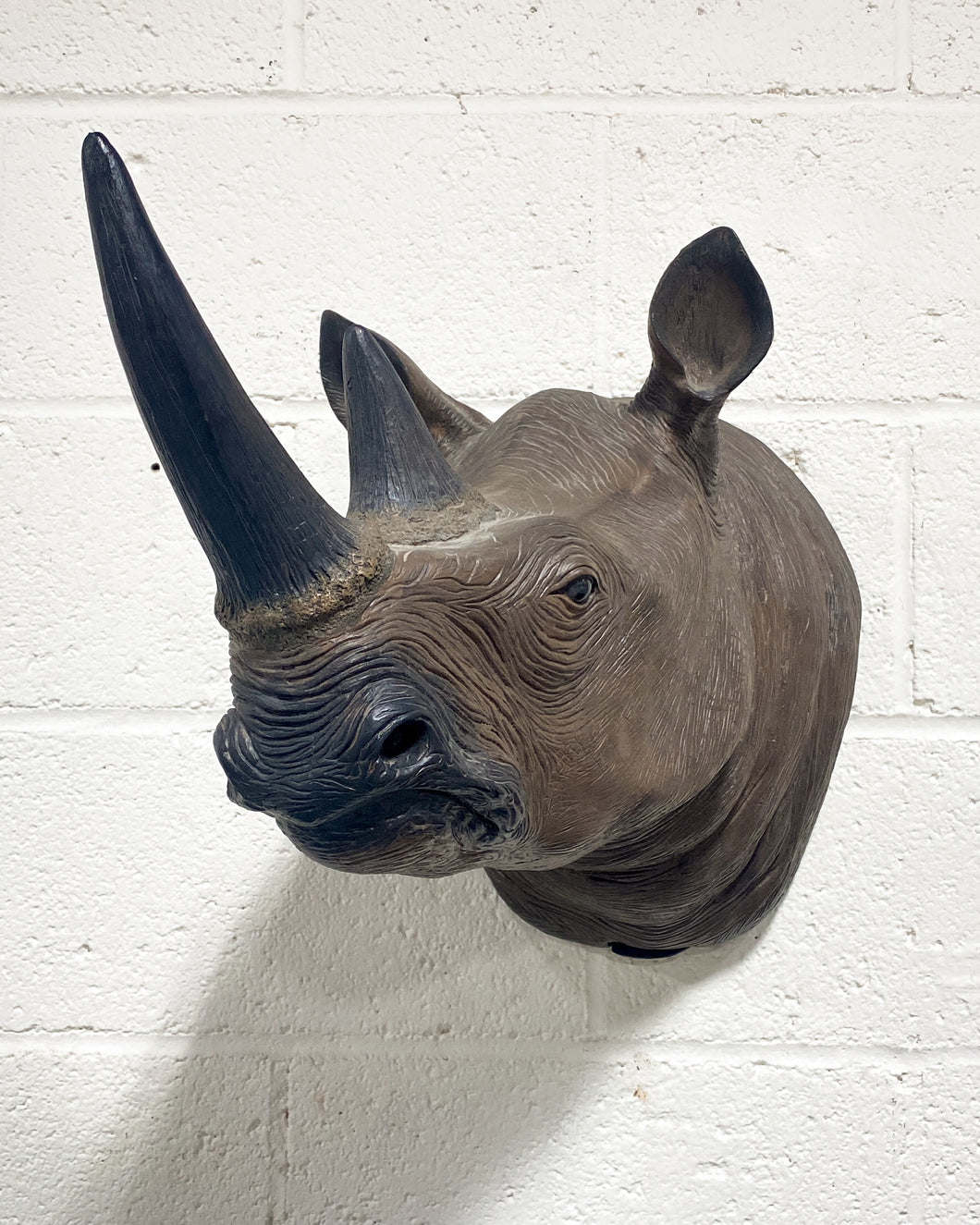 Large Rhino Head Wall Hanging