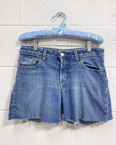 Cut off Denim Hudson Shorts