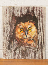 Load image into Gallery viewer, Mid Century Owl
