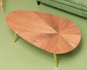 Tear Drop Modern Coffee Table