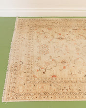 Load image into Gallery viewer, Pakistani Brown Hand Knotted Rug
