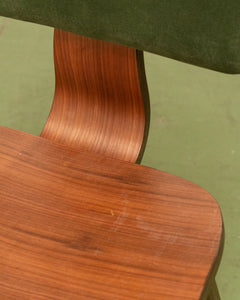 Bent Wood Custom Color Dining Chair