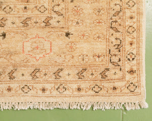 Pakistani Brown Hand Knotted Rug