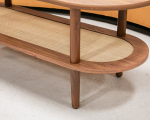 Modern Long Coffee Table