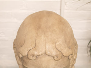 Head Bust Sculpture of David