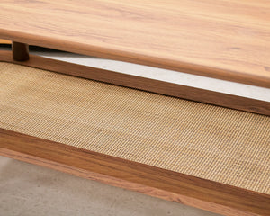 Modern Long Coffee Table