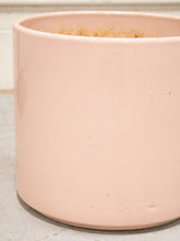 Load image into Gallery viewer, Peach Gainey Pot
