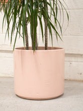 Load image into Gallery viewer, Peach Gainey Pot
