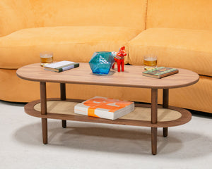 Modern Long Coffee Table