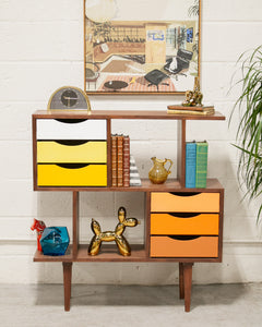 Shelly Color Block Bookcase