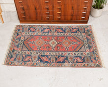 Load image into Gallery viewer, Persian coral Antique Rug
