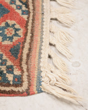 Load image into Gallery viewer, Persian coral Antique Rug
