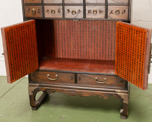 19th Century Antique Asian Medicine Cabinet