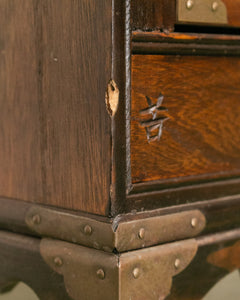 19th Century Antique Asian Medicine Cabinet