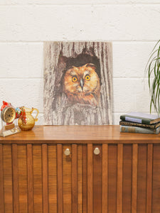 Mid Century Owl