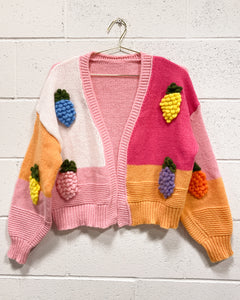 Fruity Color Block Cardigan (XL)