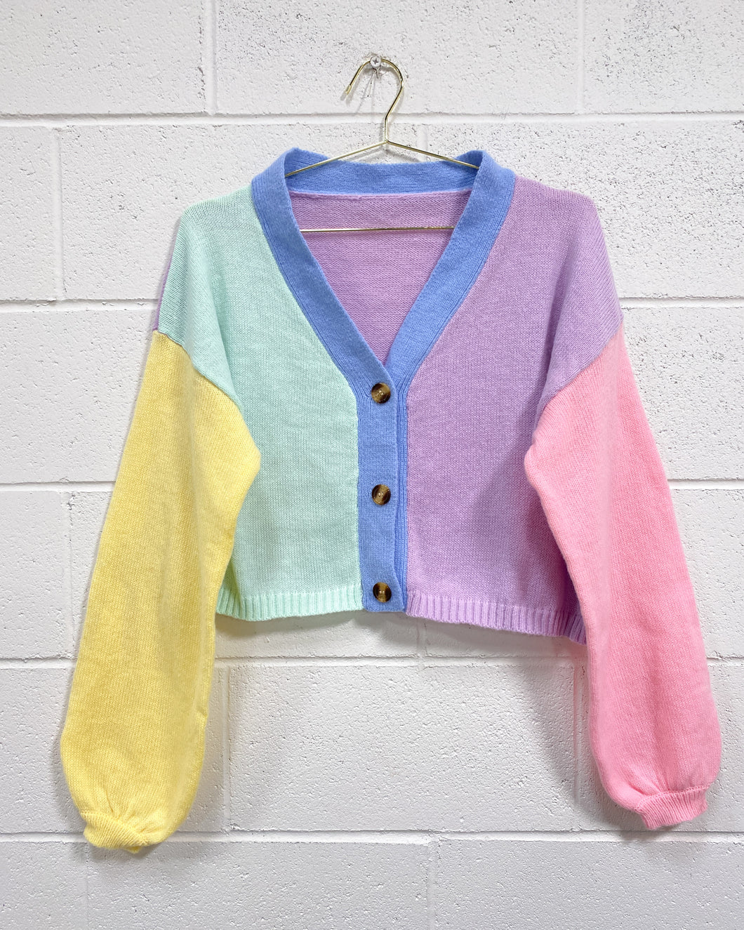 Color Block Cardigan in Pastels (L)