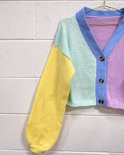 Load image into Gallery viewer, Color Block Cardigan in Pastels (L)
