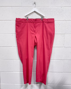 Lane Bryant “The Allie” Fuchsia Pants (24)