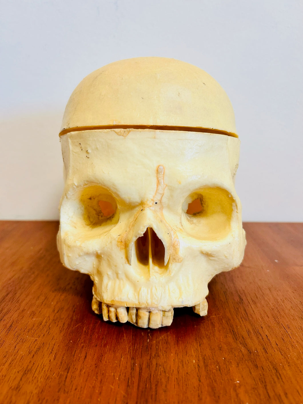 Halloween Decor Human Skull Resin Stash