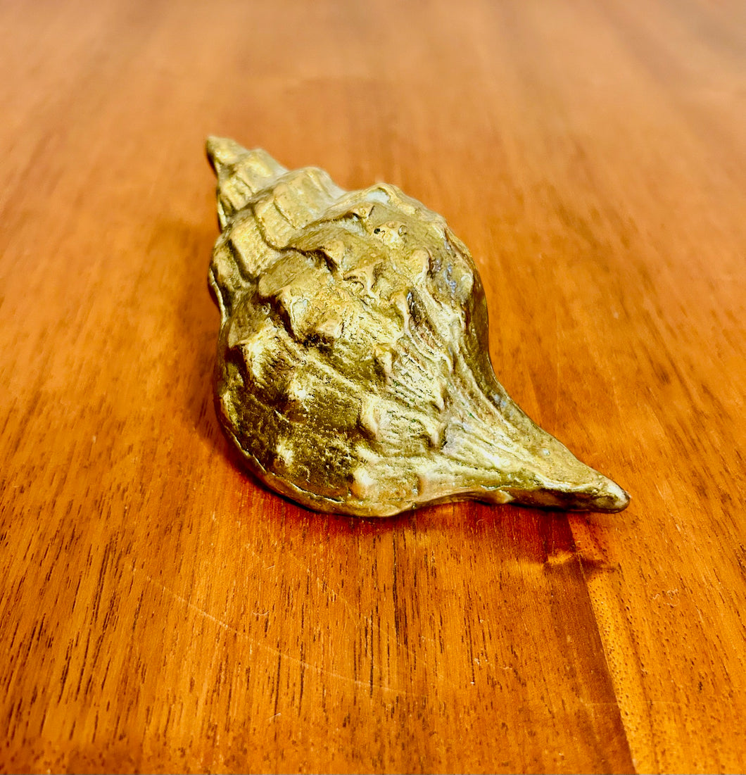 Brass Seashell Paper weight