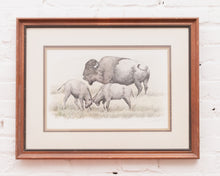 Load image into Gallery viewer, American Buffalo Lithograph Signed Art
