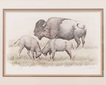 Load image into Gallery viewer, American Buffalo Lithograph Signed Art
